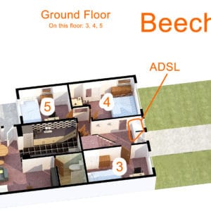 Floor plan Groundfloor - Room to rent in Beech Drive, Broadstairs